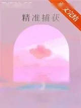 《精准捕获》小说封面