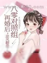 《八零对照组再婚后,逆风翻盘了》小说封面