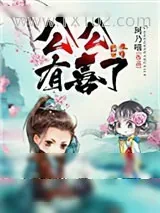 《公公有喜了》小说封面
