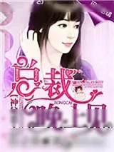 《神秘恋人：总裁晚上见》小说封面