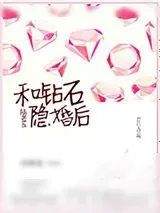 《和钻石陆老五隐婚》小说封面