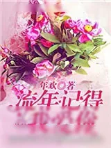 《流年记得我爱你》小说封面