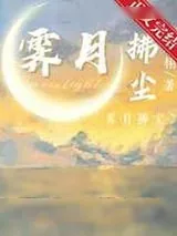 《霁月拂尘》小说封面