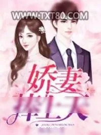 《娇妻捧上天》小说封面