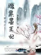 《重生之腹黑墨王妃》小说封面