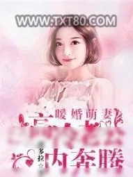 《暖婚萌妻：高冷老公内奔腾》小说封面