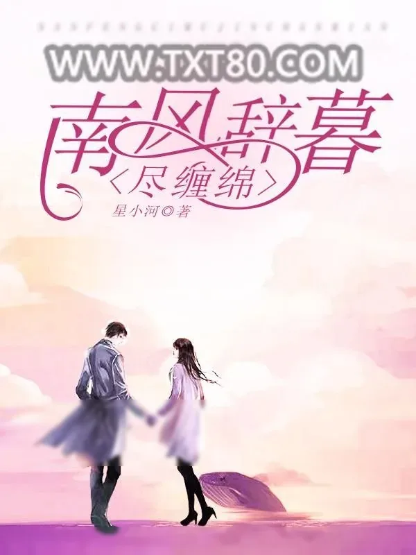《南风辞暮尽缠绵》小说封面