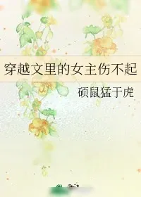 《穿越文里的女主伤不起》小说封面