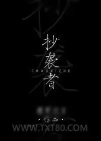《抄袭者》小说封面