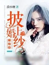 《披上婚纱嫁给你》小说封面
