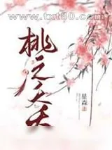《桃之夭夭》小说封面
