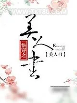 《美人书》小说封面