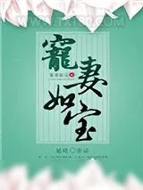 《宠妻如宝》小说封面