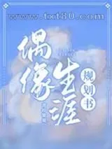 《偶像生涯规划书》小说封面