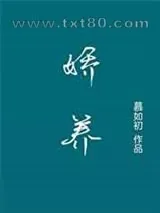 《开云见日[火葬场]》小说封面