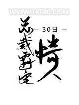 《总裁霸宠30日情人》小说封面