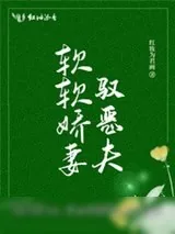 《软软娇妻驭恶夫》小说封面