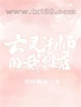 《亡灵法师的裁缝店》小说封面