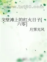 《戈壁滩上的红火日子[六零]》小说封面