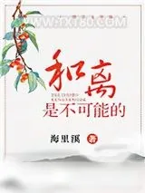 《和离是不可能的》小说封面