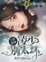 《天价宠婚凌少别太坏》小说封面