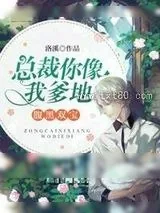 《总裁你像我爹地》小说封面