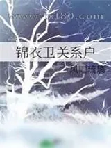 《锦衣卫关系户》小说封面