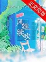 《风继续吹》小说封面