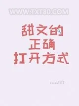 《甜文的正确打开方式》小说封面