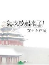 《王妃支棱起来了！》小说封面