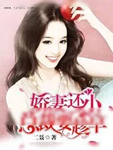 《娇妻还小，总裁要趁早》小说封面