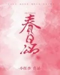 《春日颂》小说封面