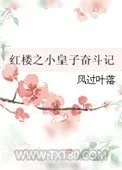 《红楼之小皇子奋斗记》小说封面