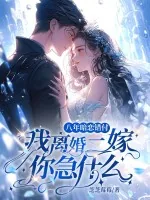 《八年暗恋错付,我离婚二嫁你急什么?》小说封面