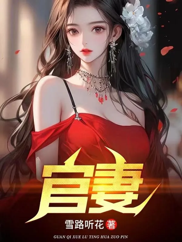 《官妻》小说封面