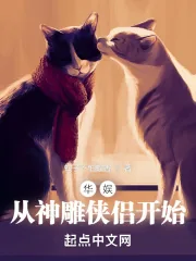 《华娱：从神雕侠侣开始》小说封面
