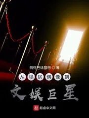 《从塌房偶像到文娱巨星》小说封面