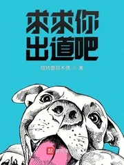 《求求你出道吧》小说封面
