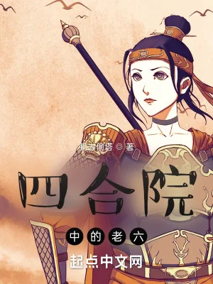 《四合院中的老六》小说封面