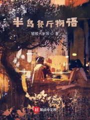 《半岛餐厅物语》小说封面