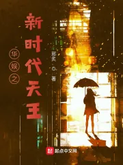 《华娱之新时代天王》小说封面