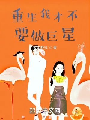 《重生我才不要做巨星》小说封面