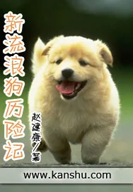 《新流浪狗历险记》小说封面
