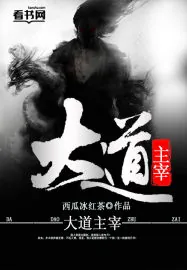《大道主宰》小说封面
