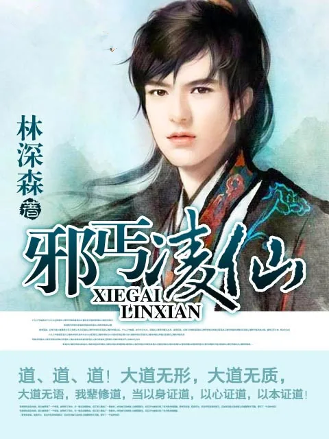 《邪丐凌仙》小说封面