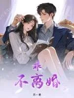 《乖,不离婚》小说封面