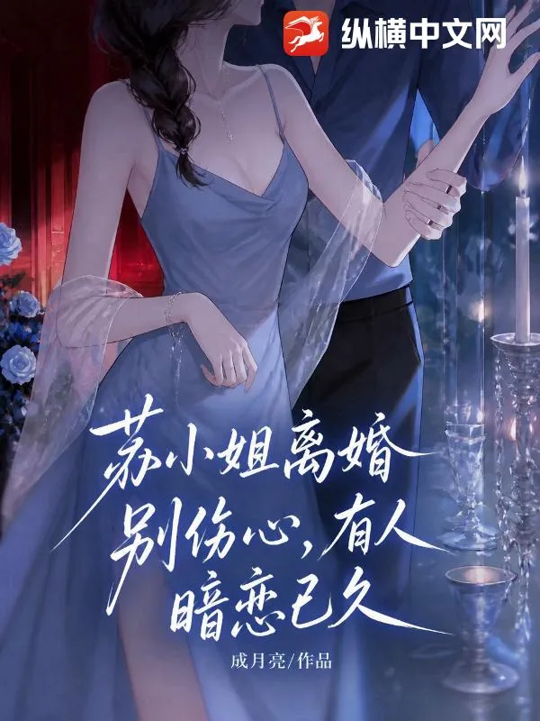 《苏小姐离婚别伤心,有人暗恋已久》小说封面