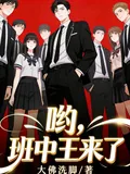 《哟,班中王来了》小说封面