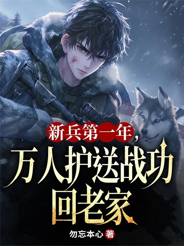 《新兵第一年,万人护送战功回老家》小说封面