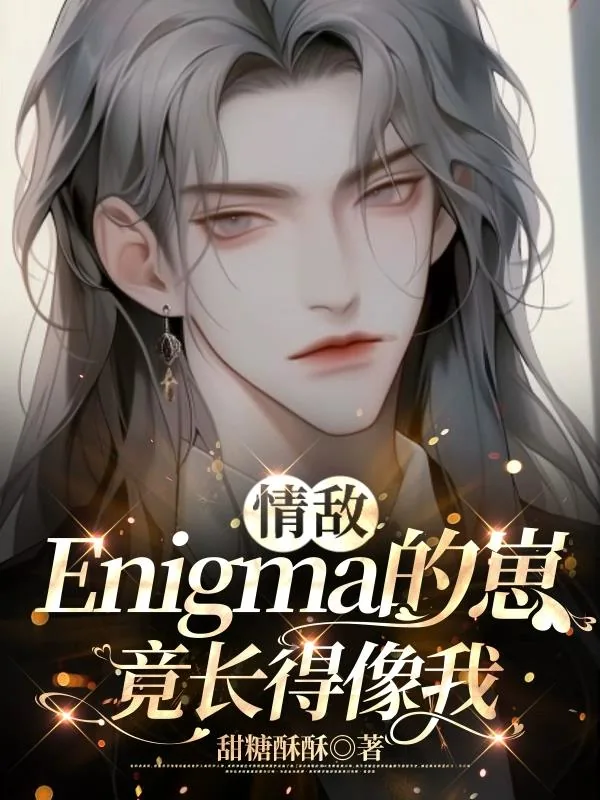 《情敌Enigma的崽竟长得像我》小说封面